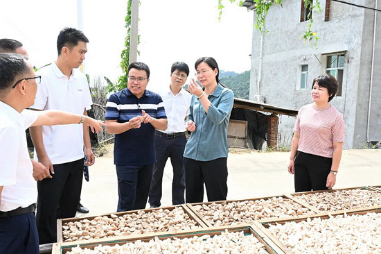 调研中,马桂秋先后来到前坪村,大山村,与镇村干部,农户座谈交流,详细
